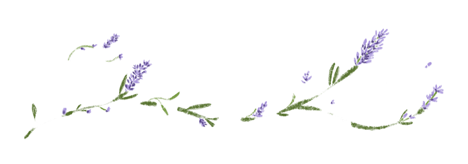 Clove logo - Men's Lavender Shoes for Healthcare Workers | Clove